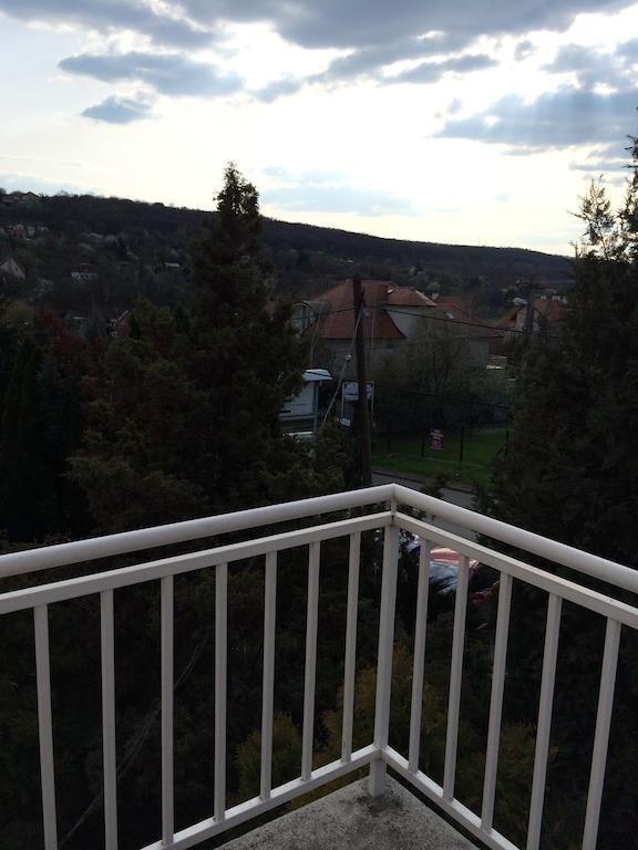 Belle Fleur Panzio Bed & Breakfast Budapest Luaran gambar