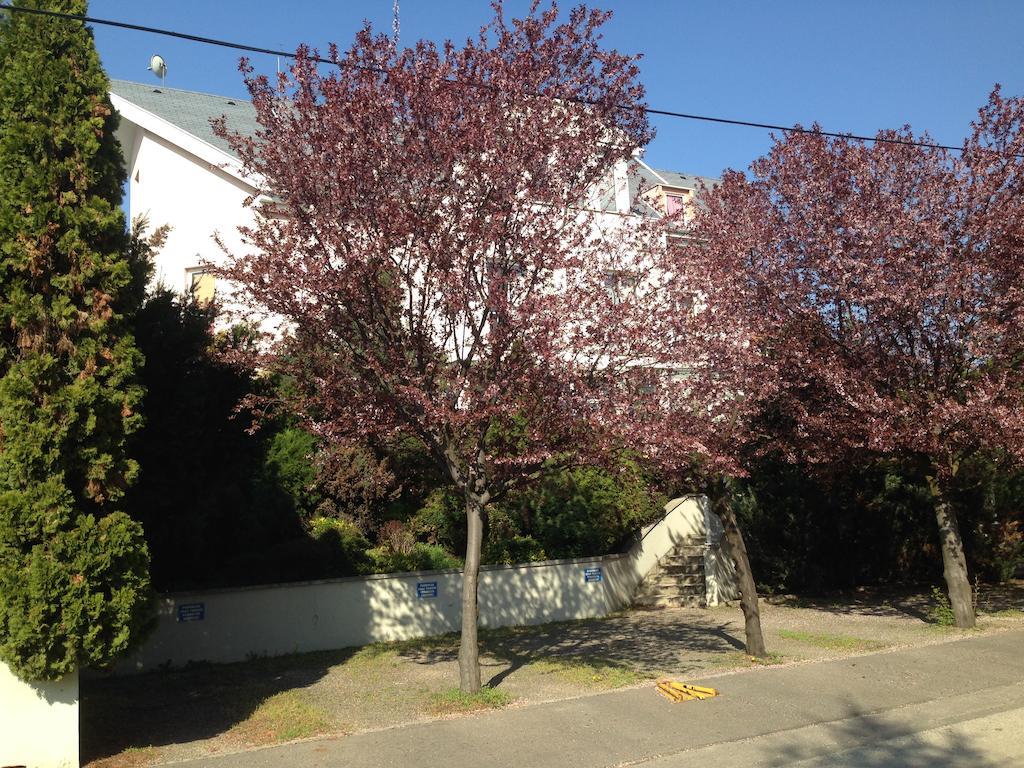 Belle Fleur Panzio Bed & Breakfast Budapest Luaran gambar